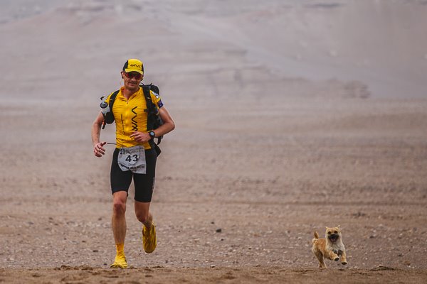 Dieser Streuner wählt seinen Freund fürs Leben, indem er einen Marathon mit ihm läuft!