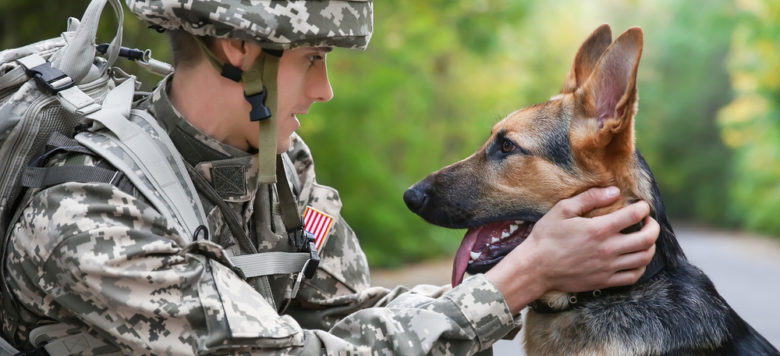 Herzergreifend – Soldat möchte seinen tierischen besten Freund nicht im Krisengebiet zurücklassen