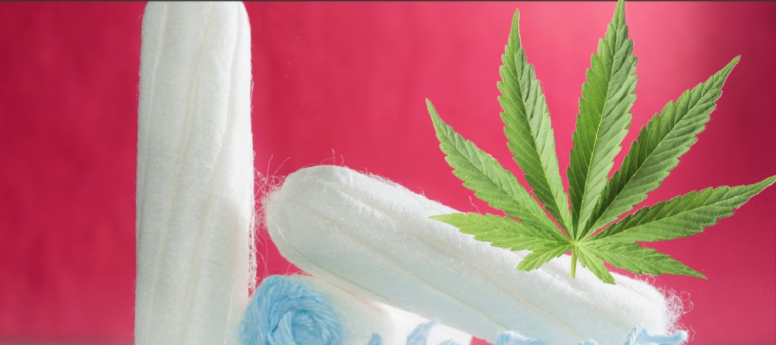 Cannabis Tampons lindern Menstruationsschmerz!