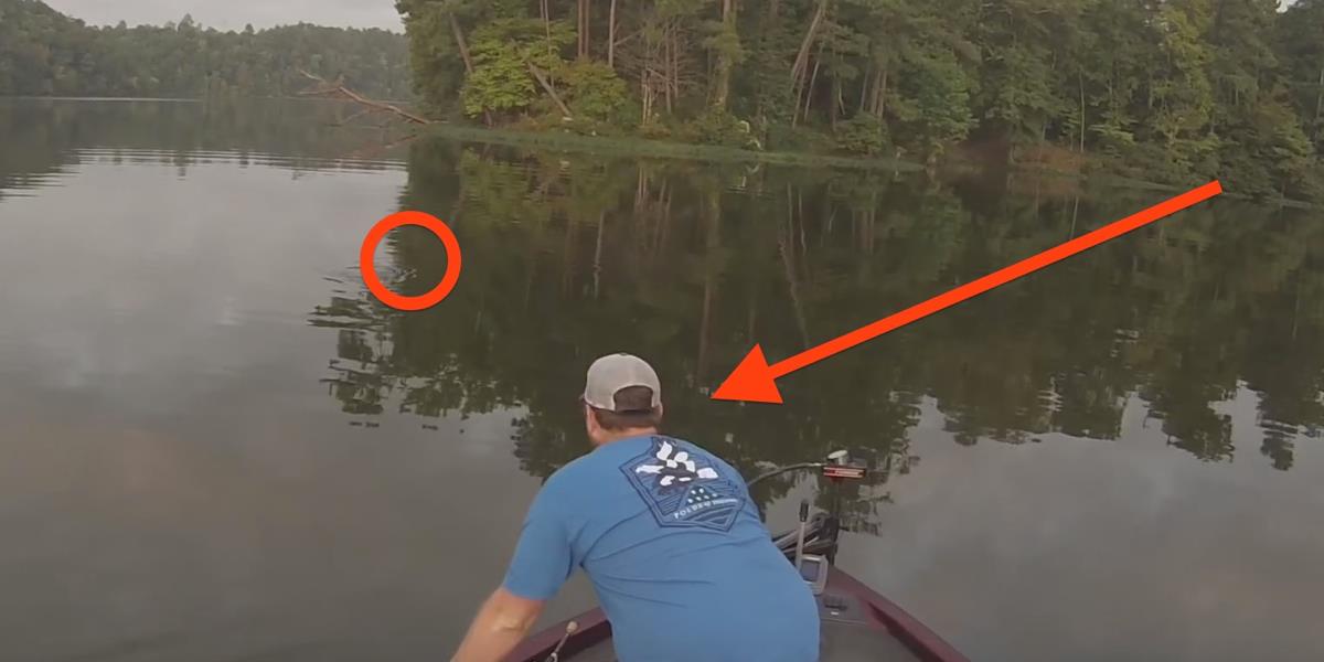 Rettungsvideo: Angler holen verstoßene Kätzchen ins Boot.