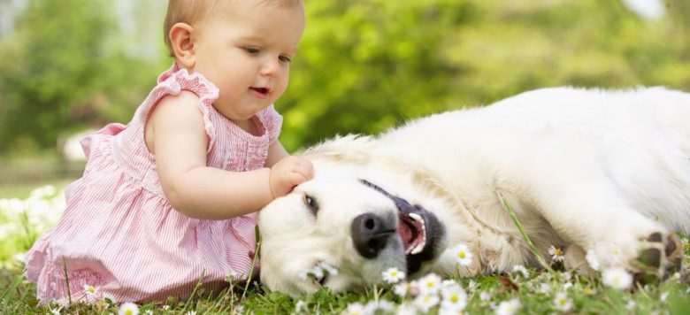 Video: Süßes Baby diskutiert mit Bulldogge!