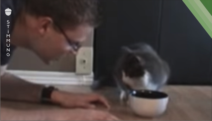 Er gibt vor, Katzenfutter zu essen – schau dir die fantastische Reaktion der Katze an