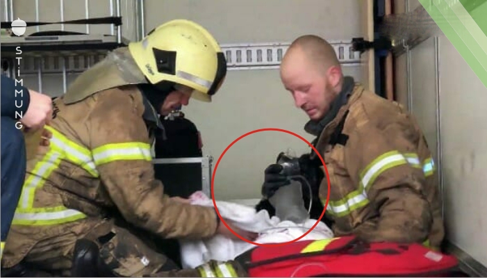 Leben ist Leben: Diese Feuerwehrleute geben alles, um diesen Hund zu retten – die Bilder gehen ans Herz