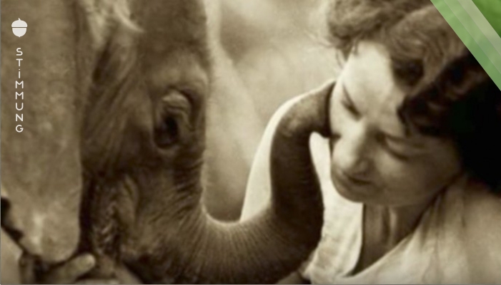 Seit 40 Jahren kümmert sich 83 Jährige um Elefantenwaisen.