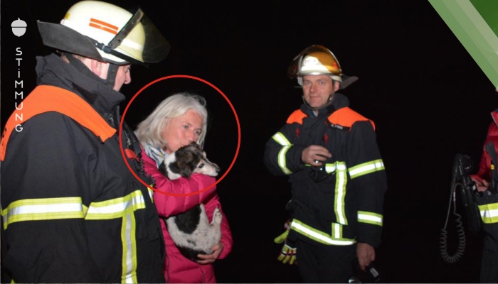 Feuerwehr rettet Hund aus Seenot