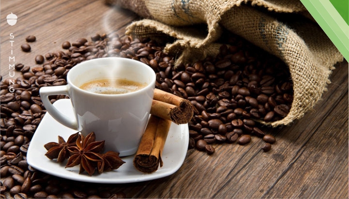 Wenn Sie jeden Morgen Kaffee trinken, lesen Sie diesen Artikel!