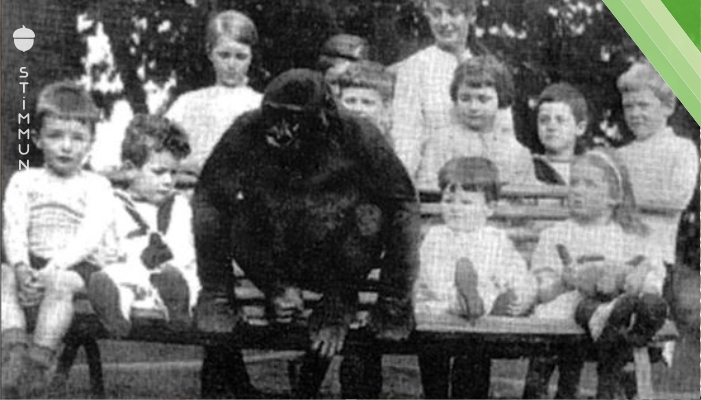 Der Mann kauft einen Gorilla und quartiert ihn bei seiner Schwester ein. Mit dem, was dann passiert, hat wohl keiner gerechnet.