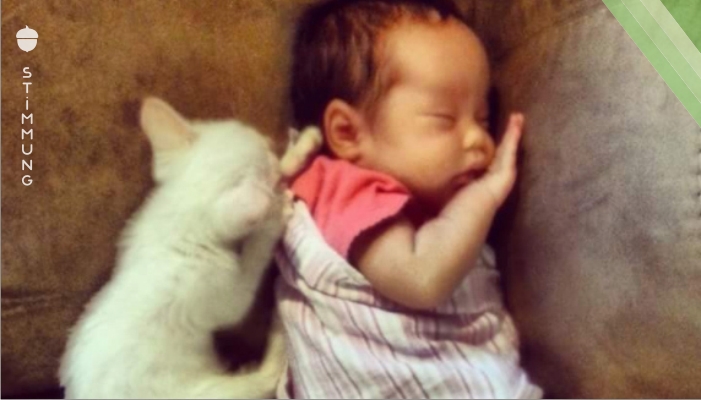 Als das neugeborene Mädchen und die kleine Katze sich sehen, passiert etwas Wunderbares. Unglaublich, was dieses Kind kann!