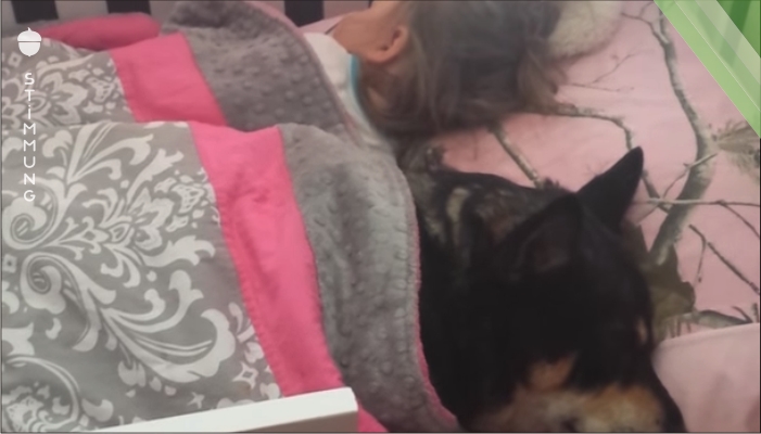 Entzückte Mutter filmt, wie sie Schäferhund neben ihrem Baby im Bettchen findet.