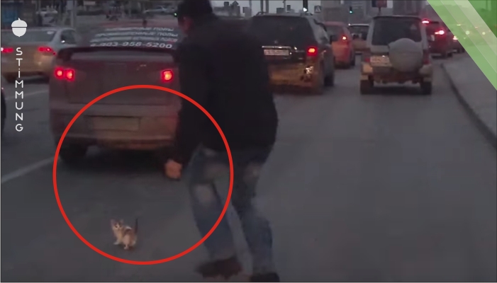 Der Mann rennt mitten in den Verkehr, bevor das Kätzchen überrollt wird. Doch bei 0:48 sorgt ein Auto für eine unerwartete Wendung.