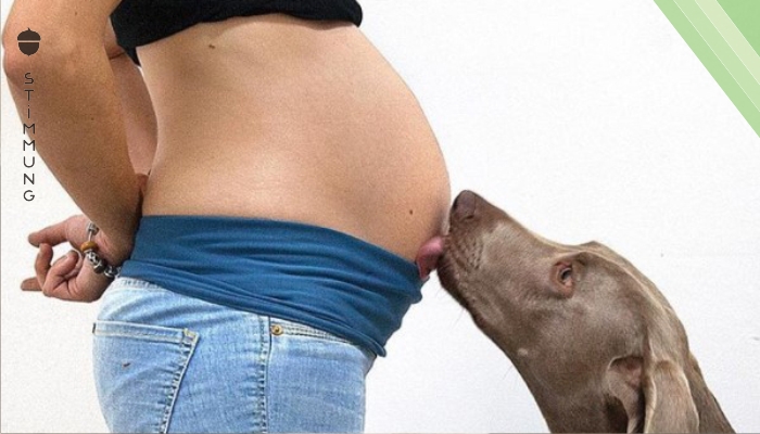 Hunde können ihre Pfoten nicht von dem Baby lassen.