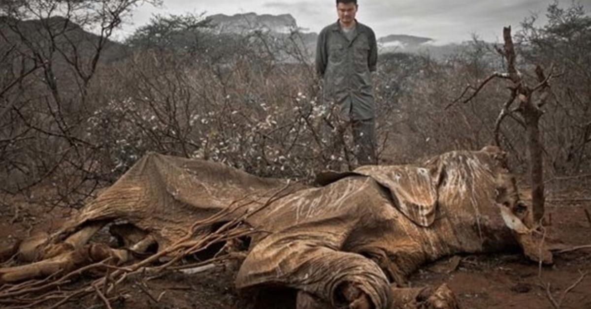 20 Bilder zeigen das Ausmaß weltweiter Umweltzerstörung.
