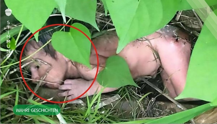 Verlassenes Baby wird im Gebüsch gefunden – die Ärzte schlagen Alarm, wenn sie den Körper des Babys sehen