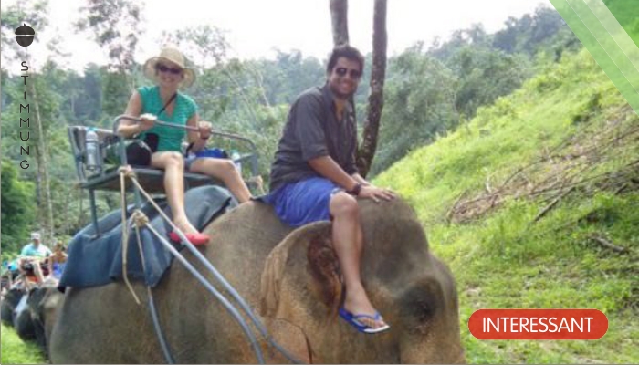 Zur Unterhaltung von Touristen werden Elefanten gefoltert – doch Menschen wie diese Frau tun etwas dagegen