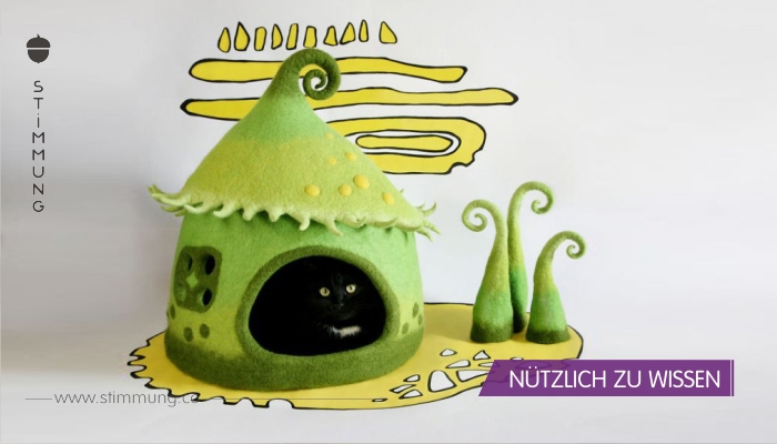 Eine Frau macht aus Filz märchenhafte Katzenhäuser, sieh dir diese 12 fantastischen Beispiele an!