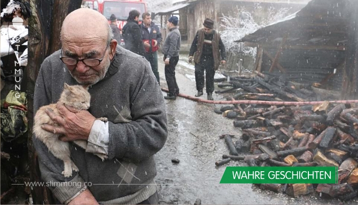 Der alte Mann umarmt das überlebende Kätzchen, alles, was er nach dem Feuer noch hat. So eine traurige Geschichte!