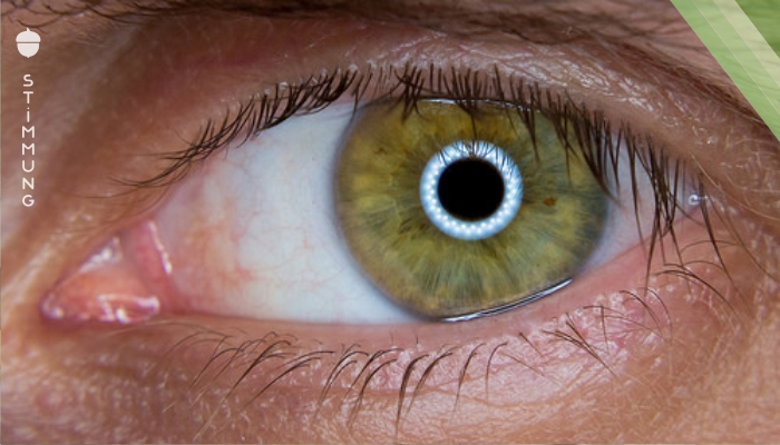 Mach den Test: Wie “alt” sind deine Augen?
