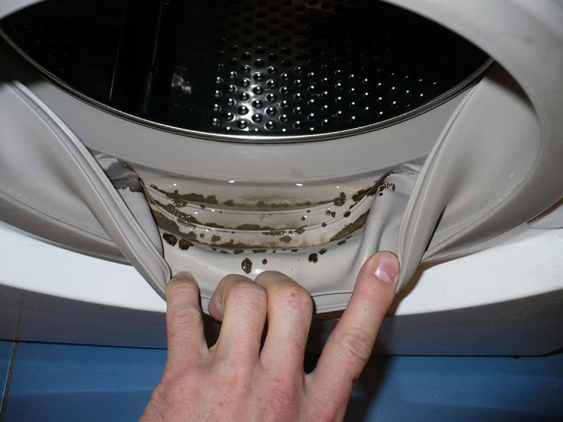 Wundermethode, die hilft, Schimmel in der Waschmaschine loszuwerden!
