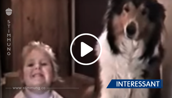Mutter sagt ihrer Tochter, sie soll für die Kamera lächeln – was der Hund dann macht, bringt alle zum Lachen