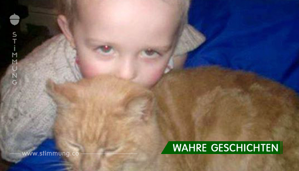 Als seine Katze stirbt, sucht der 5-Jährige im Tierheim eine neue. Was er stattdessen findet, könnte ihn nicht glücklicher machen.