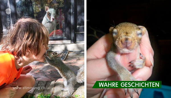 Sie hat ein verwundetes Eichhörnchen gerettet und nun besucht das Eichhörnchen sie seit 8 Jahren, um Danke zu sagen ...