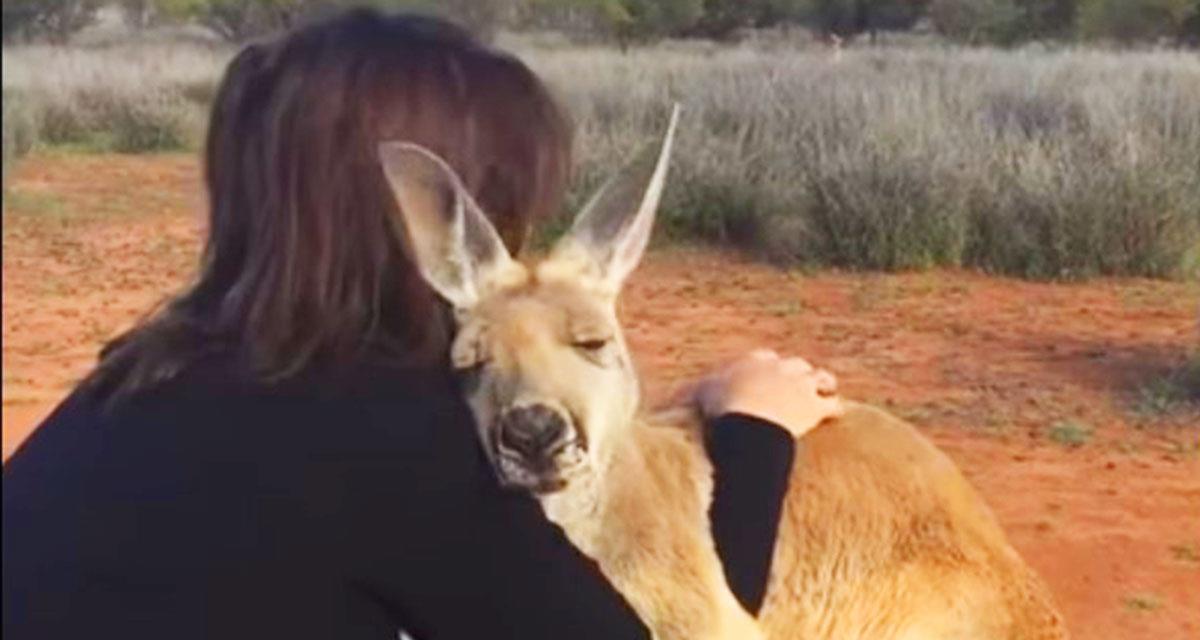 Dieses Mädchen rettete ein 5 Monate altes Känguru. Seit 10 Jahren hört er nicht, ihr immer zu danken