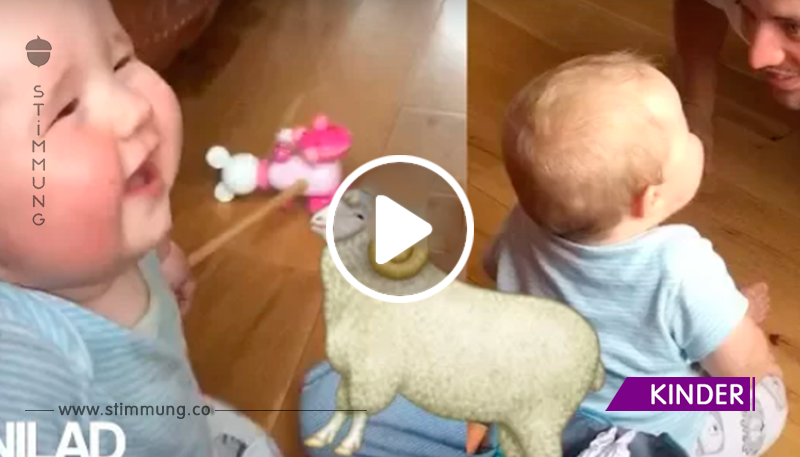 Er möchte sein Baby zum Lachen bringen – doch dieses lacht plötzlich wie ein Schaf