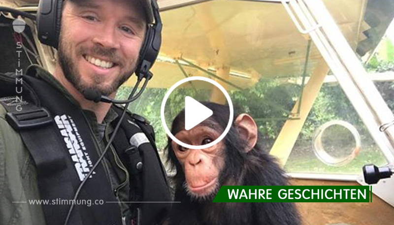 Gerettetes Affenbaby knuddelt mit Piloten.