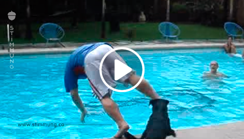 Der Mann steht am Rand des Pools – aber achtet auf den Hund, der sich heranschleicht!