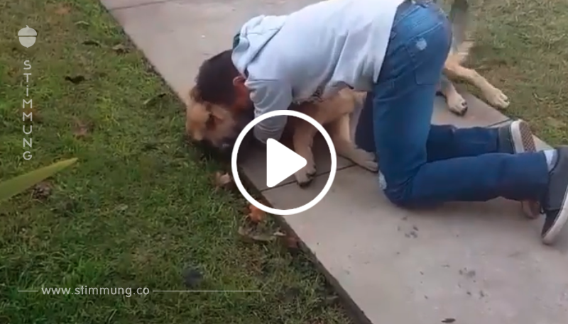 Video: 11 Jähriger findet Hund nach 8 Monaten wieder.