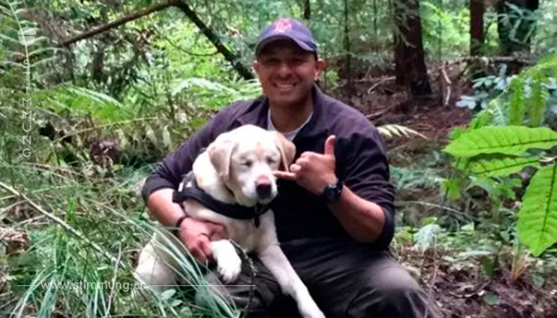 12 Jahre alte Hund verschwindet im Wald – eine Woche später wird er aber vom Nachbarn gefunden