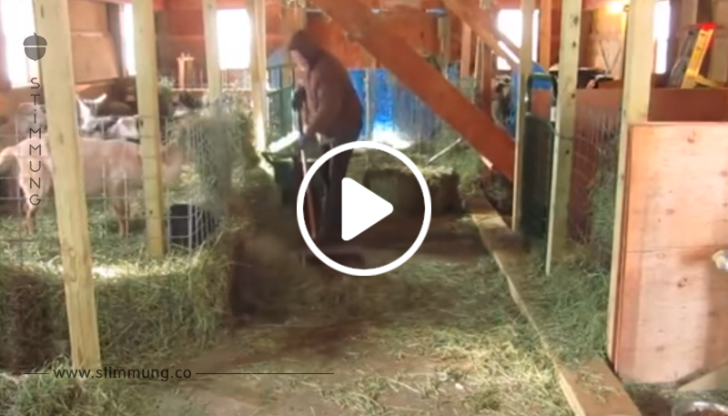 Der Bauer filmt sich selbst in der Scheune – nun lieben ihn Millionen und wir verstehen warum!