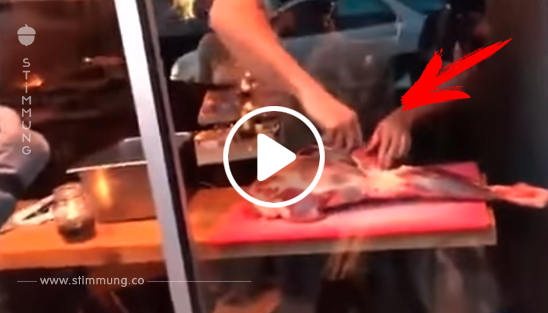 Dem Koch reicht es – nach mehreren Monaten von Demonstrationen von Veganern schneidet er Fleisch vor ihnen