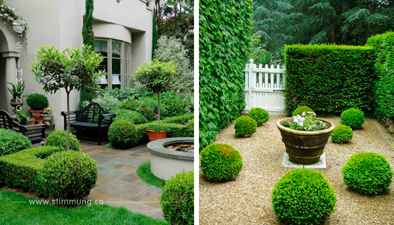 Schaffen Sie den perfekten Garten mit Buxus Pflanzen! Diese Garteneinrichtungen muss man gesehen haben!