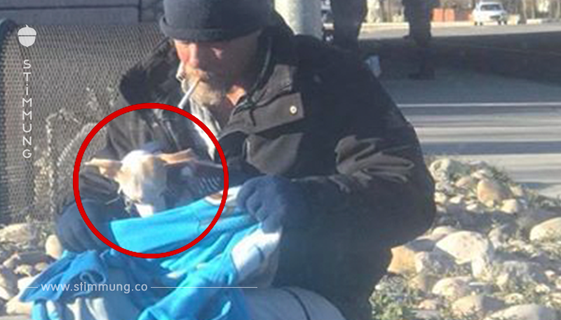 Hund wird aus Auto geworfen und Obdachloser eilt zu Hilfe.	