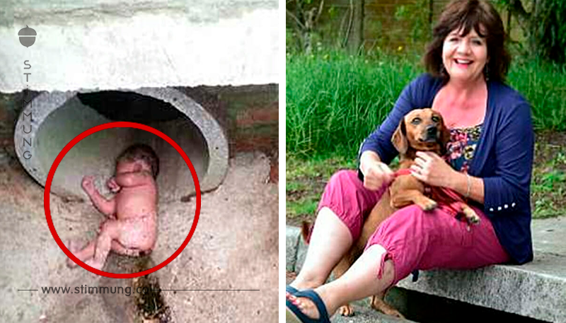 Hund führt Frauchen zum Gully – 2 Meter in der Tiefe macht sie eine schockierende Entdeckung	