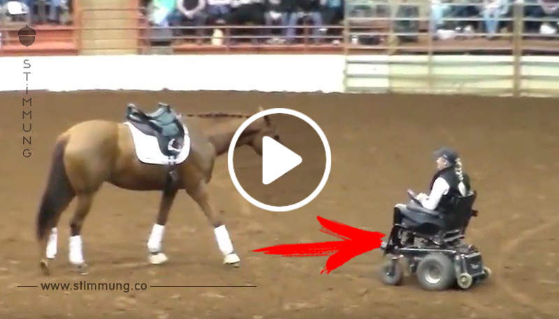 Das Pferd trabt zu der Frau in dem Rollstuhl – Momente später ist das gesamte Publikum sprachlos
