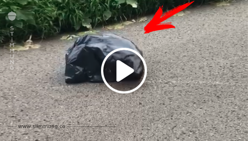 Lehrerin entdeckt eine schwarze Tüte auf der Straße: Da bewegt sich etwas darin	