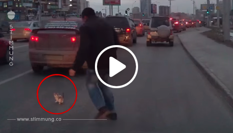 Der Mann rennt mitten in den Verkehr, bevor das Kätzchen überrollt wird. Doch bei 0:48 sorgt ein Auto für eine unerwartete Wendung.	