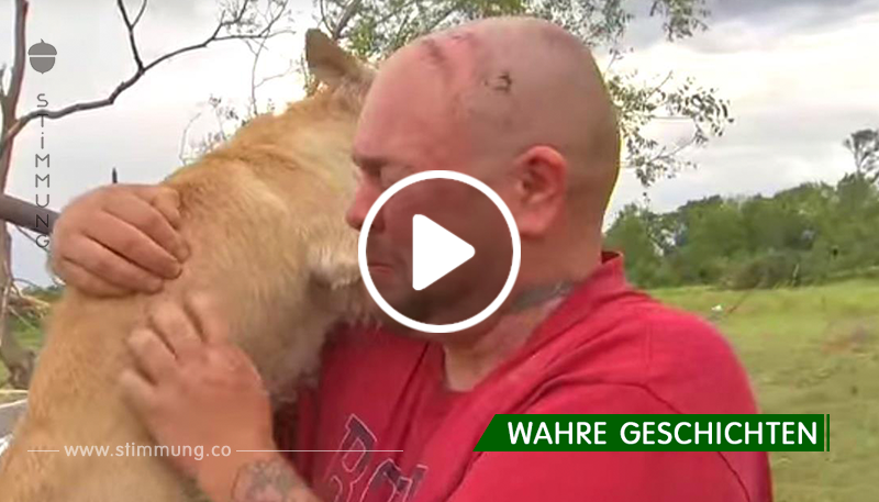 Er dachte, dass sein Hund von einem Tornado weggeweht worden war. Aber der Hunde-Schutzengel änderte alles ...