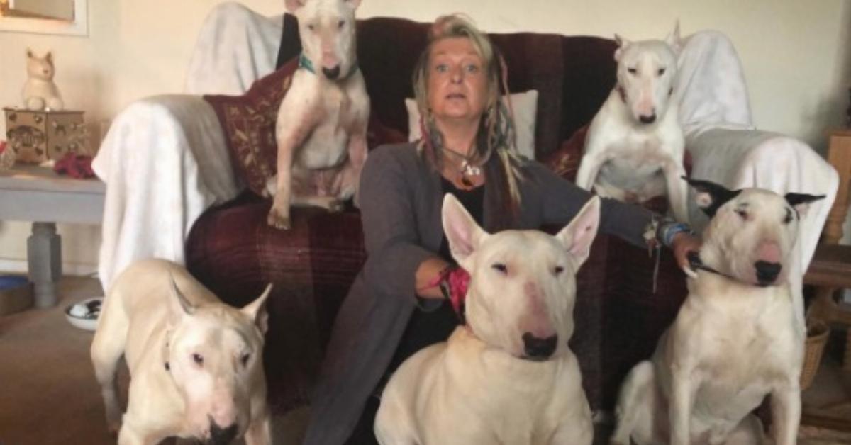 Frau wird wegen ihrer 30 Hunde von Ehemann verlassen.	