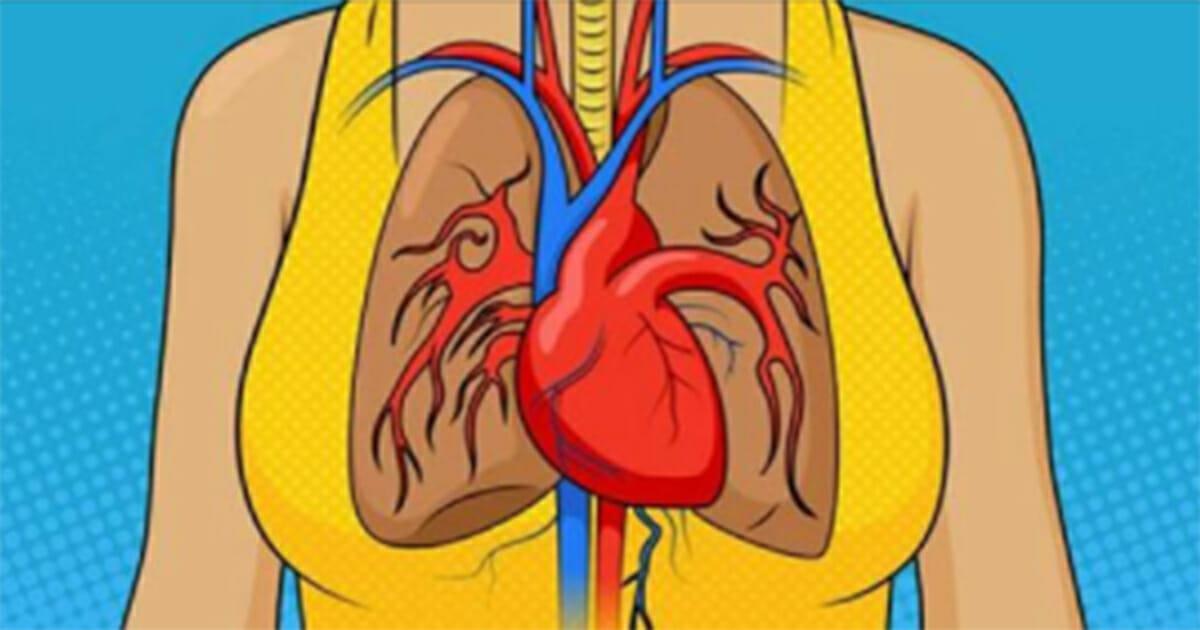 Euer Körper warnt euch 1 Monat vor einem Herzinfarkt: 8 versteckte Zeichen, die jeder kennen sollte	
