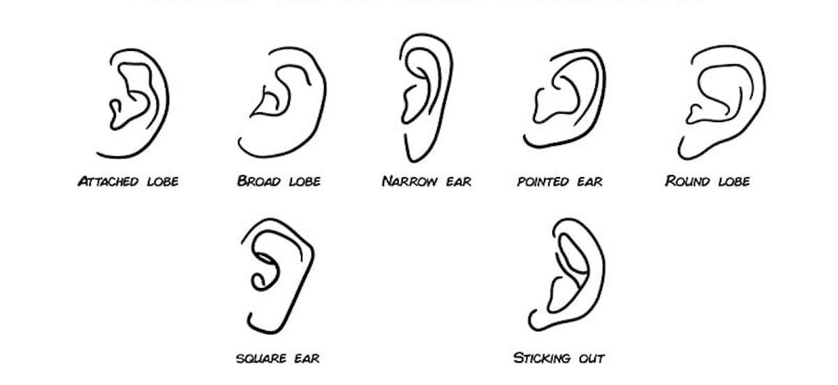 Das sagt die Form deiner Ohren über deine Persönlichkeit aus	