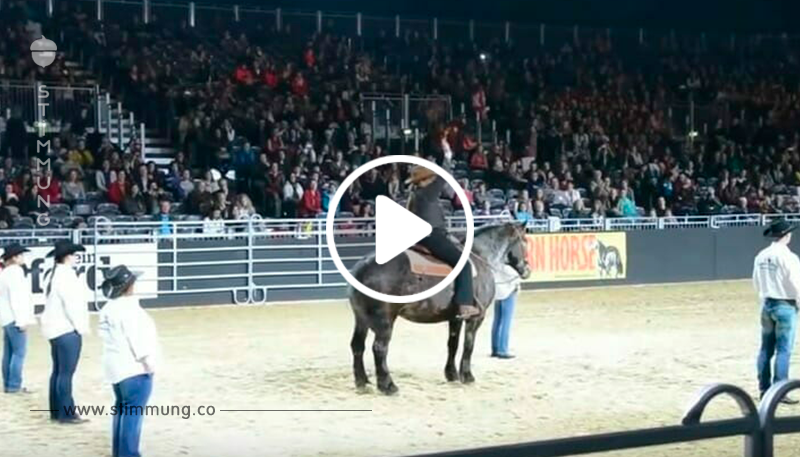 Pferd hört Lieblingslied: Sekunden später staunt die ganze Zuschauermenge	