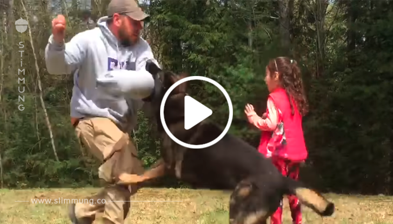 Mann schleicht zu einem kleinen Mädchen – Es gibt seinem Hund Befehl und er handelt sofort	