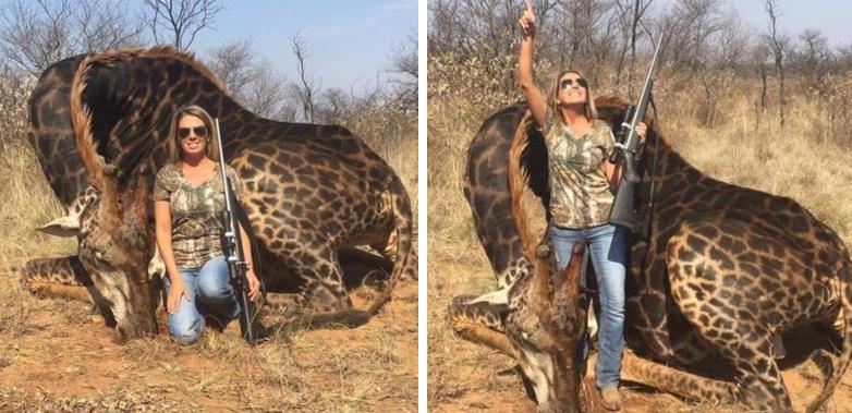 Amerikanische Trophäenjägerin posiert stolz, nachdem sie eine seltene Giraffe erschossen hatte	