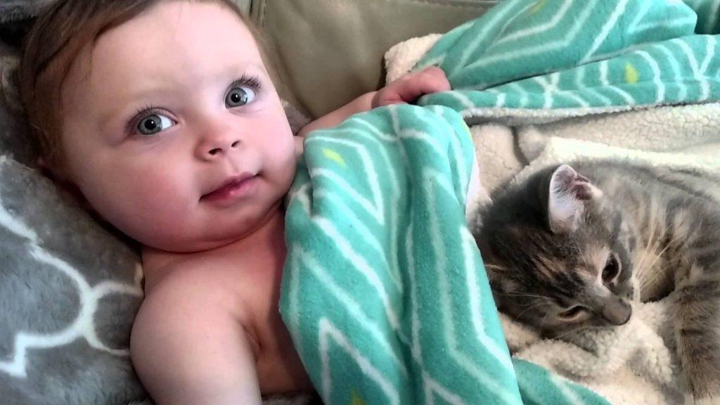 Das Kind kuschelt gemütlich mit der Katze auf dem Sofa – eines der süßesten Videos, die wir gesehen haben!	