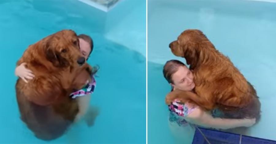 Die Frau versucht, ihren Hund aus dem Pool zu heben – doch der weigert sich, aus dem Wasser zu kommen	