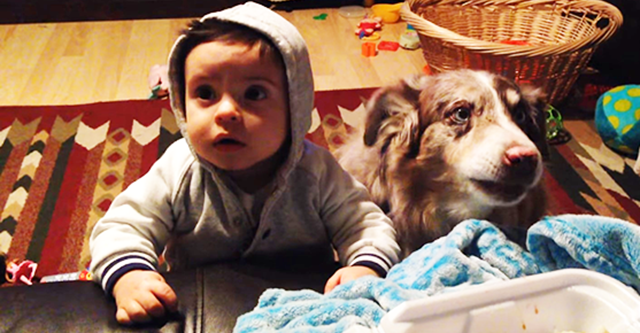 Sie brachte dem Baby bei,  Mama  zu sagen. Aber schau dir nur die Reaktion des Hundes an!