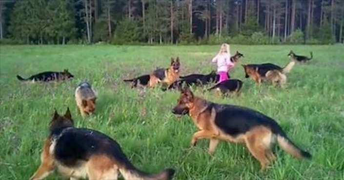 Mädchen spielt mit seinen 14 Freunden auf dem Feld. Wunderbar!	